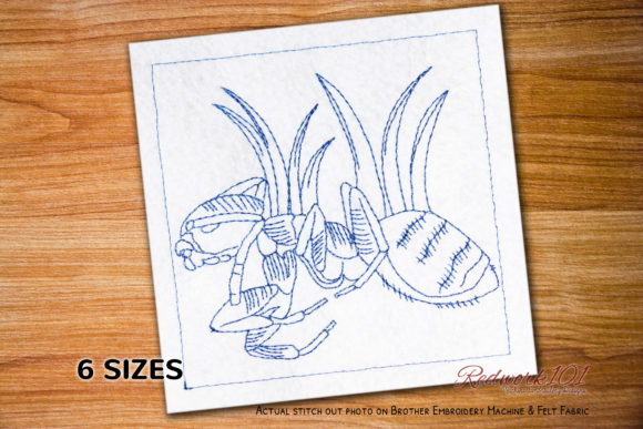 Macro Ghost Ant Design: A Designer's Review for Gifts