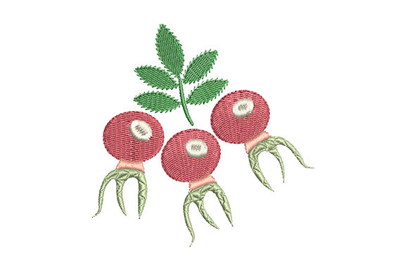 Red Rose Hips with a Green Leaf: A Boutique Review