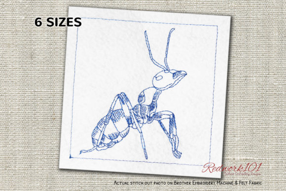 Red Wood Ant Bluework: A Seasonal Embroidery Review